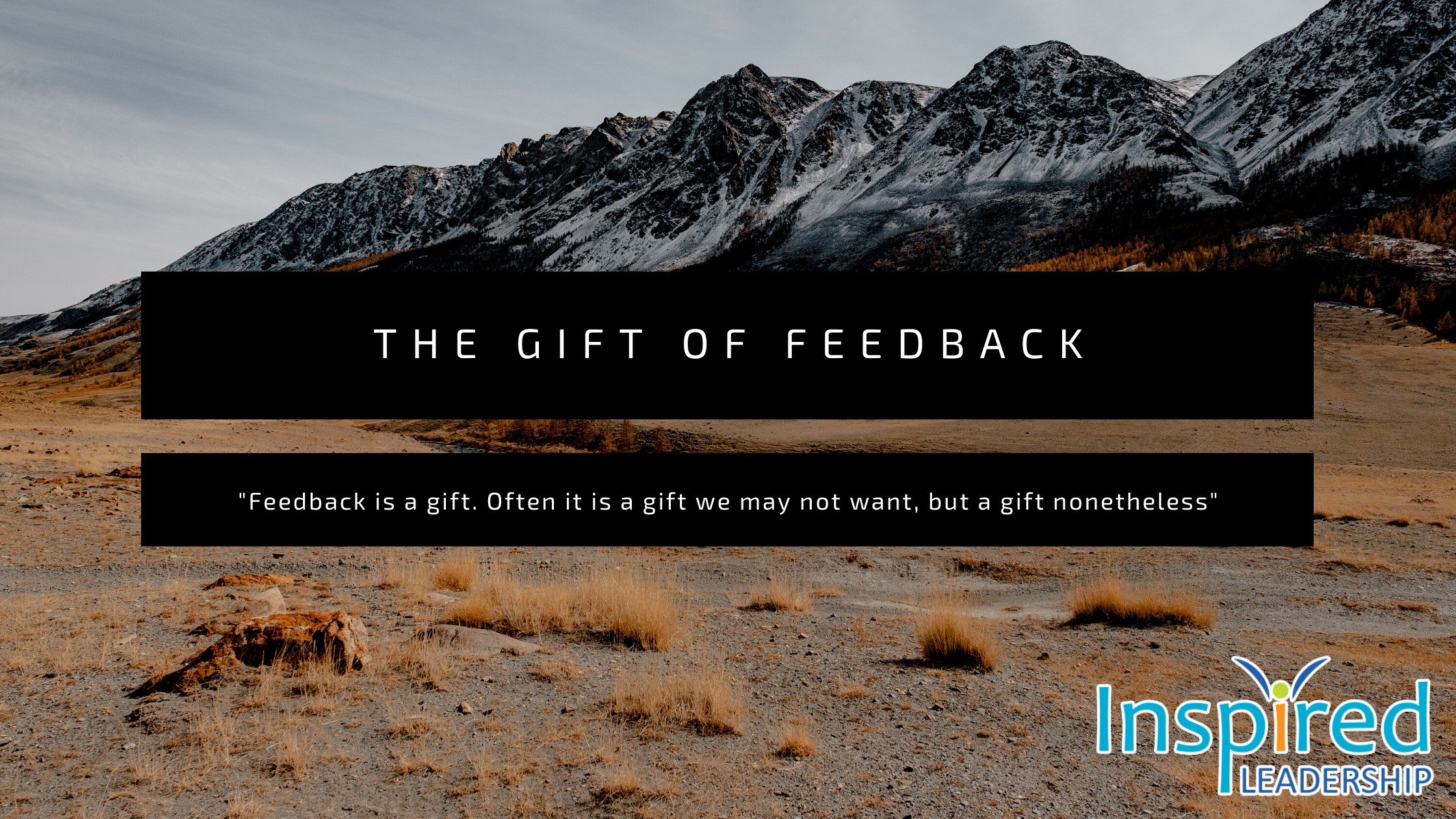 Feedback is a Gift - Business 4 Good